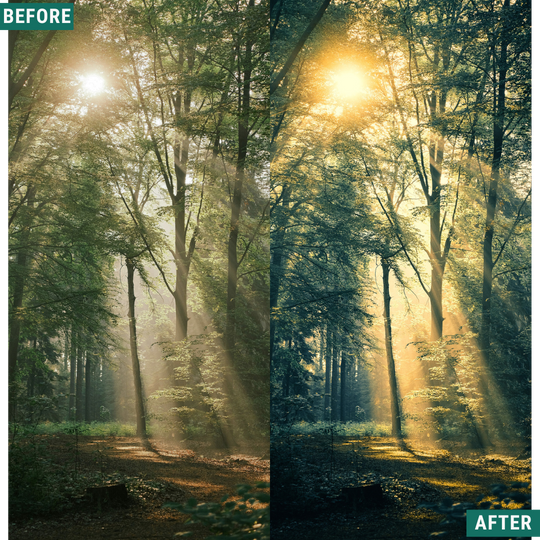 Dream Scape LIMITED Lightroom Presets Pack