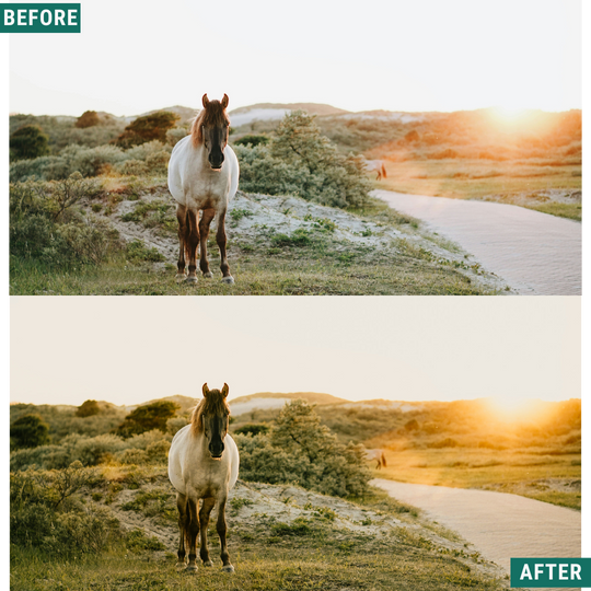 Soft Dawn LIMITED Lightroom Presets Pack