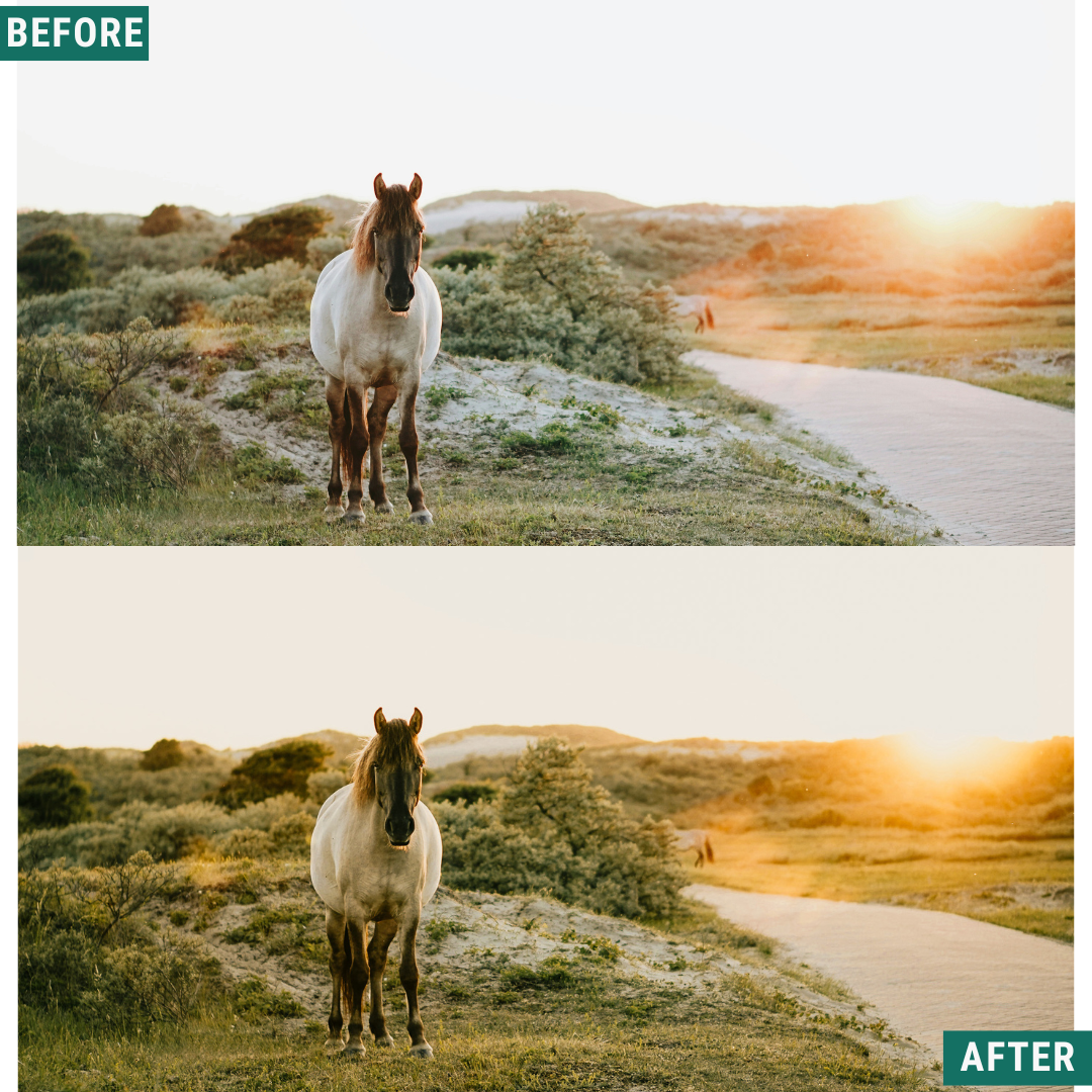 Soft Dawn LIMITED Lightroom Presets Pack