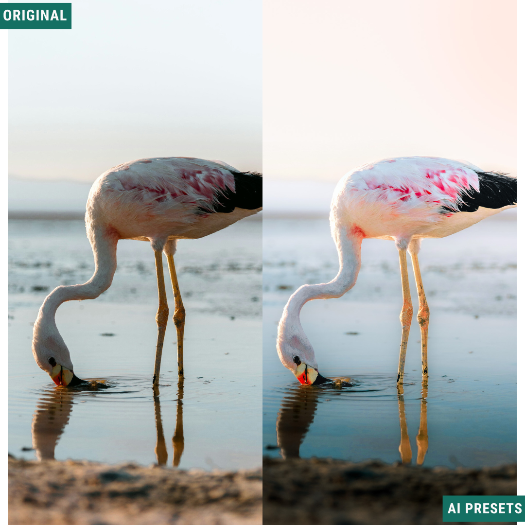 Subjects & Wildlife AI Photo Lightroom Toolkit