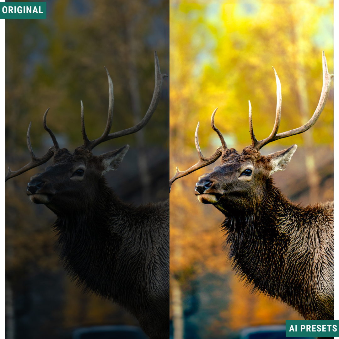 Quick Fix AI Lightroom Toolkit