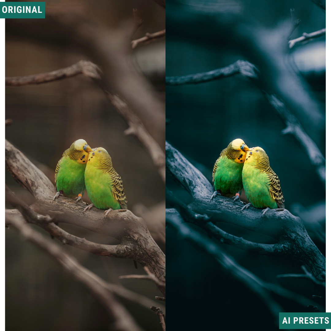 Summer AI Color Lightroom Toolkit