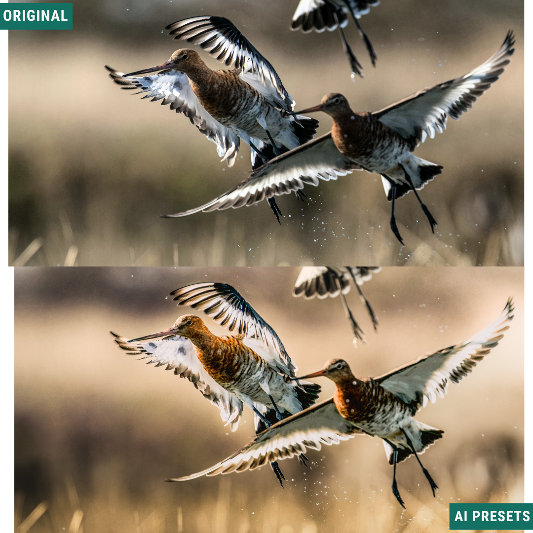 Subjects & Wildlife AI Photo Lightroom Toolkit