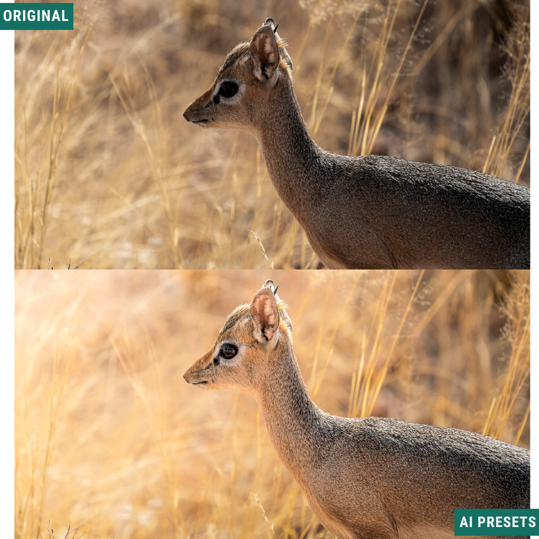 Subjects & Wildlife AI Photo Lightroom Toolkit