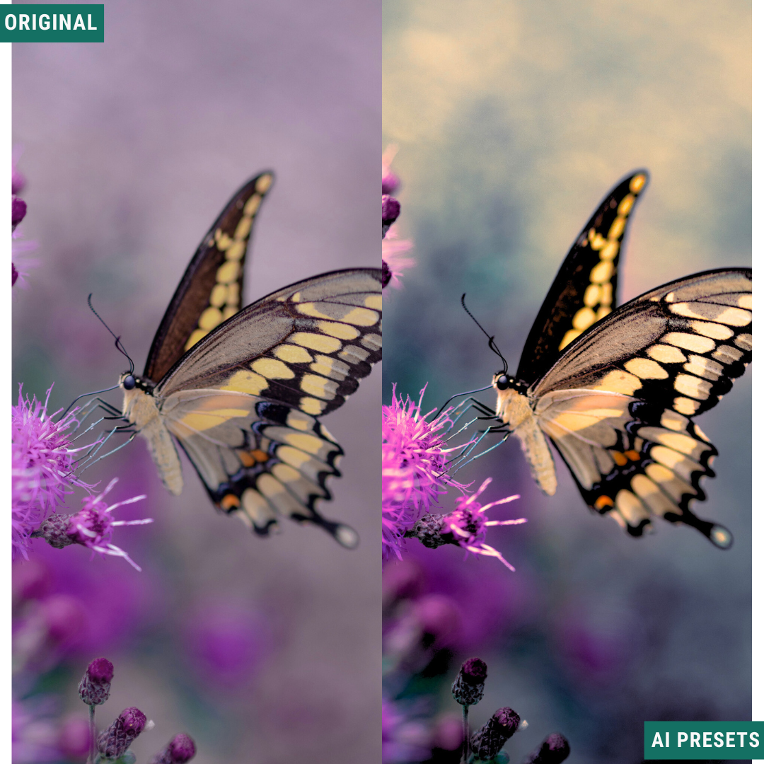 Summer AI Color Lightroom Toolkit