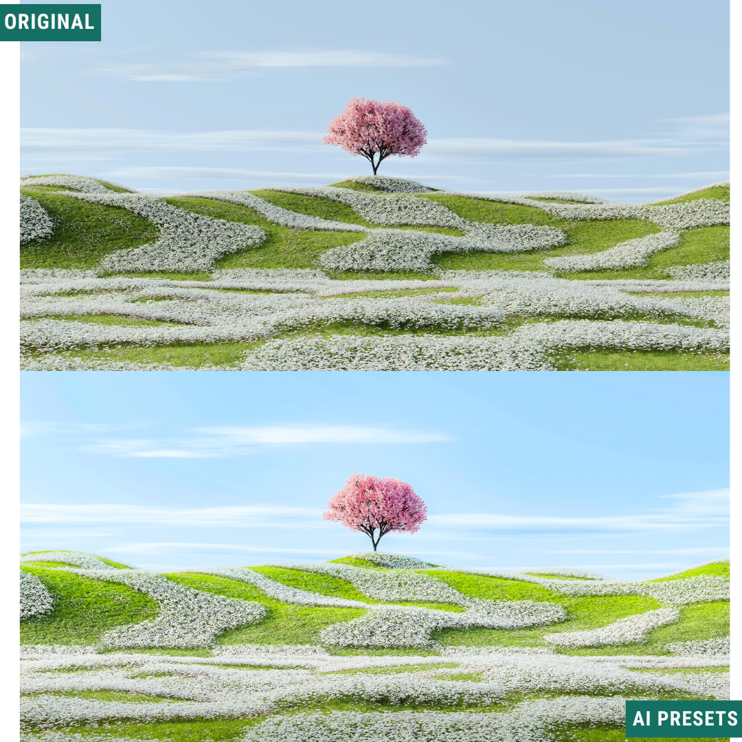 Landscape AI Photo Lightroom Toolkit