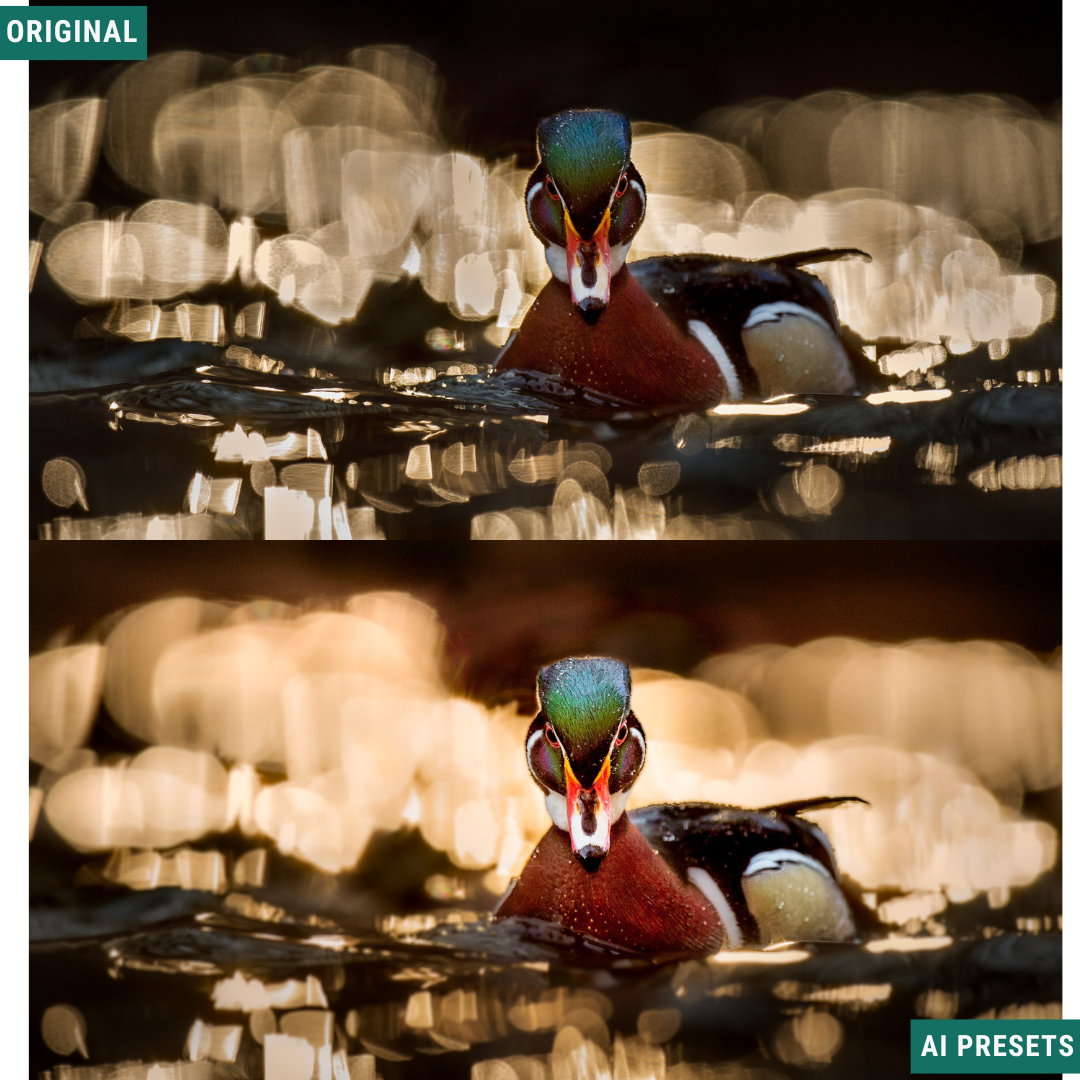 Subjects & Wildlife AI Photo Lightroom Toolkit