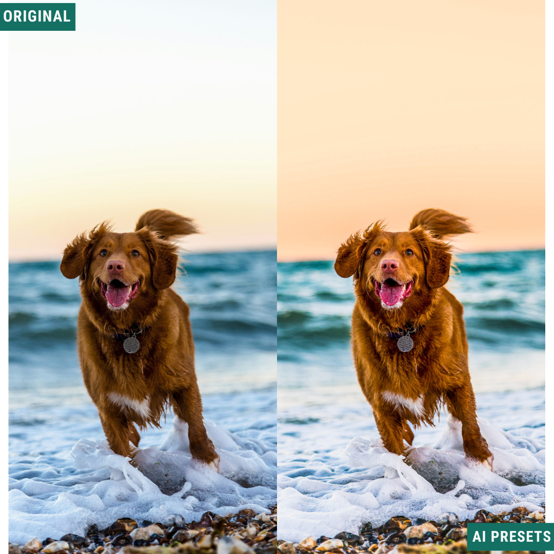 Quick Fix AI Lightroom Toolkit