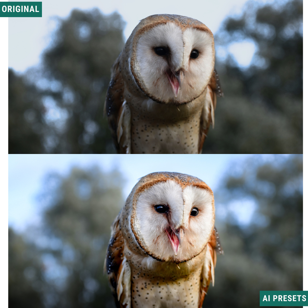 Subjects & Wildlife AI Photo Lightroom Toolkit