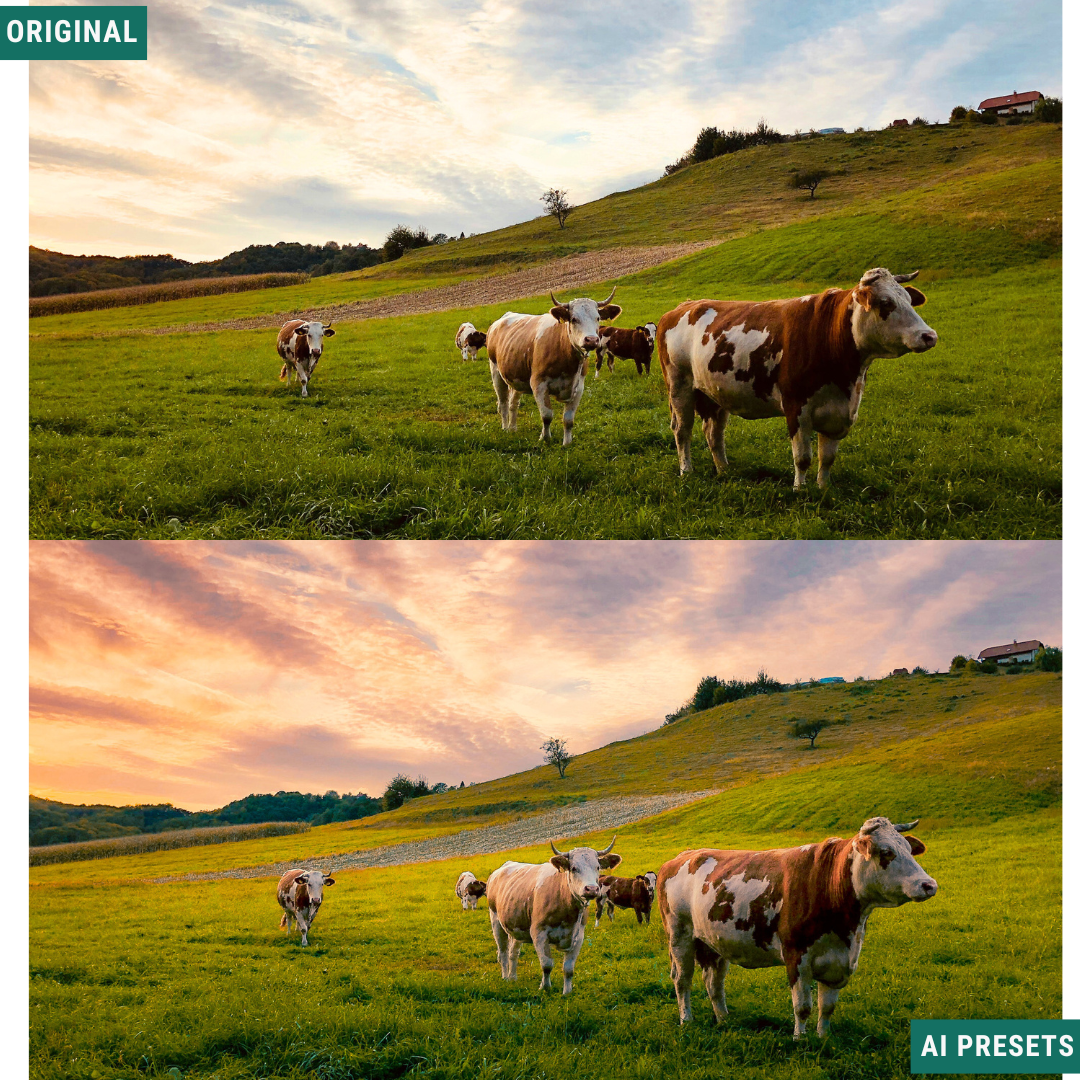 Summer AI Color Lightroom Toolkit