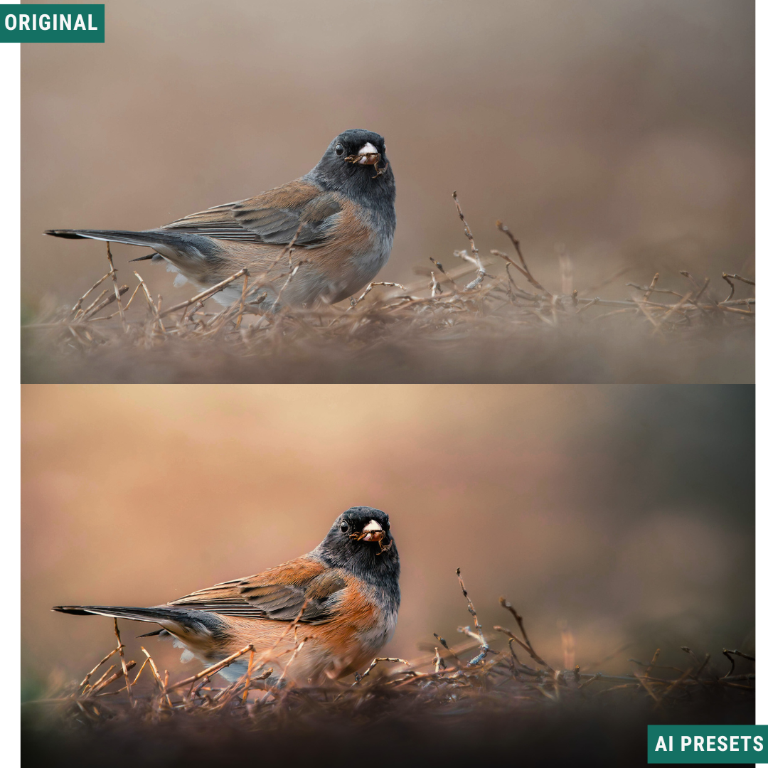 Subjects & Wildlife AI Photo Lightroom Toolkit