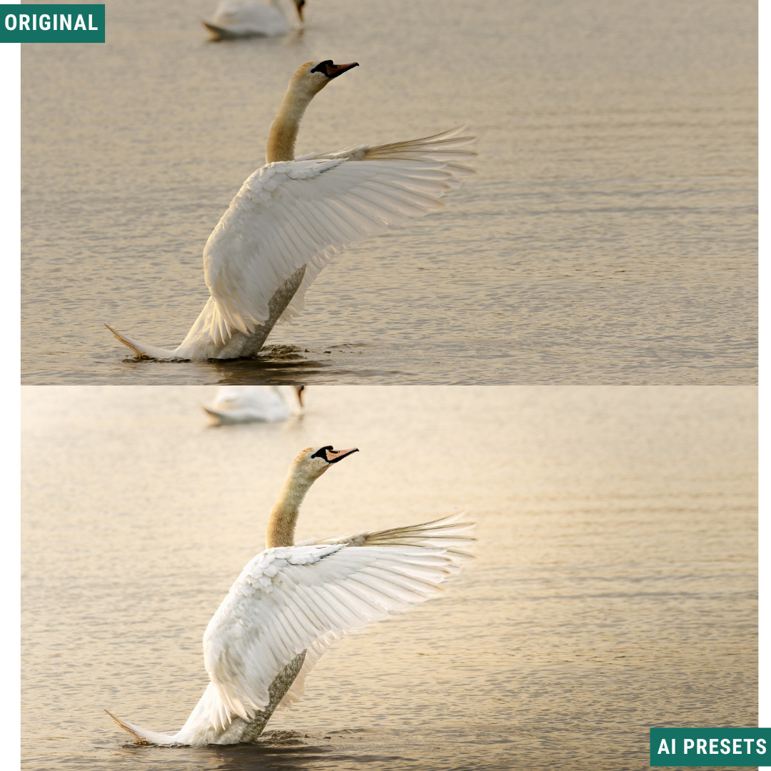 Subjects & Wildlife AI Photo Lightroom Toolkit