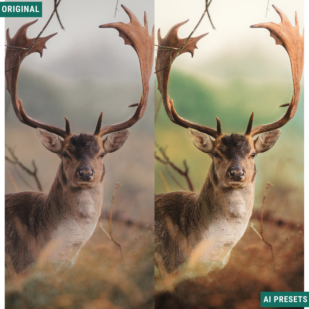 Rustic AI Color Lightroom Toolkit