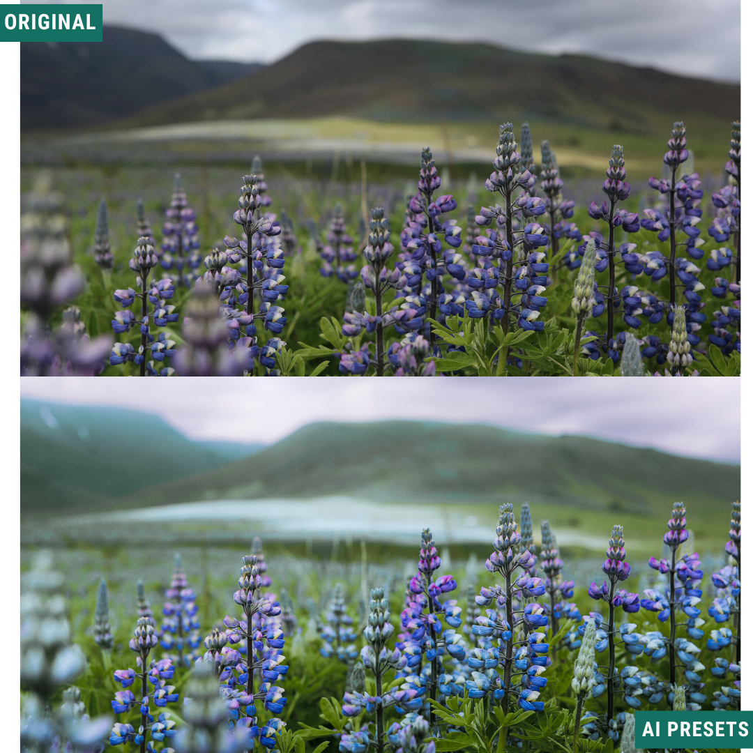 Summer AI Color Lightroom Toolkit