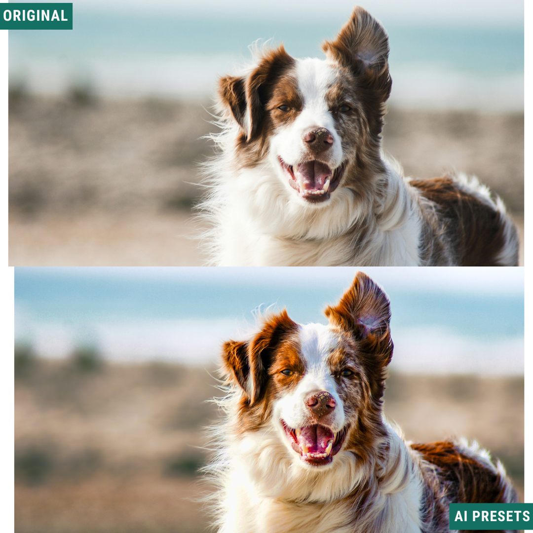 Subjects & Wildlife AI Photo Lightroom Toolkit