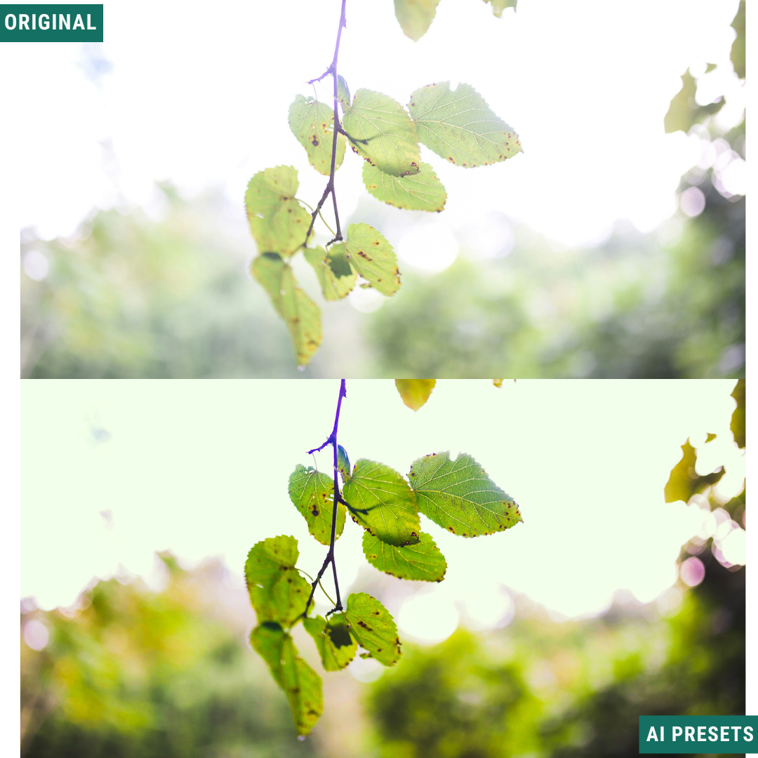 Quick Fix AI Lightroom Toolkit