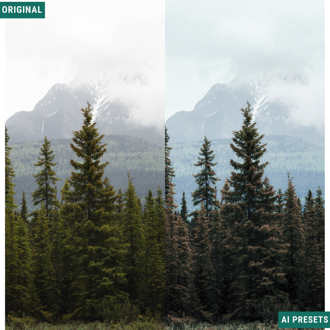Rustic AI Color Lightroom Toolkit