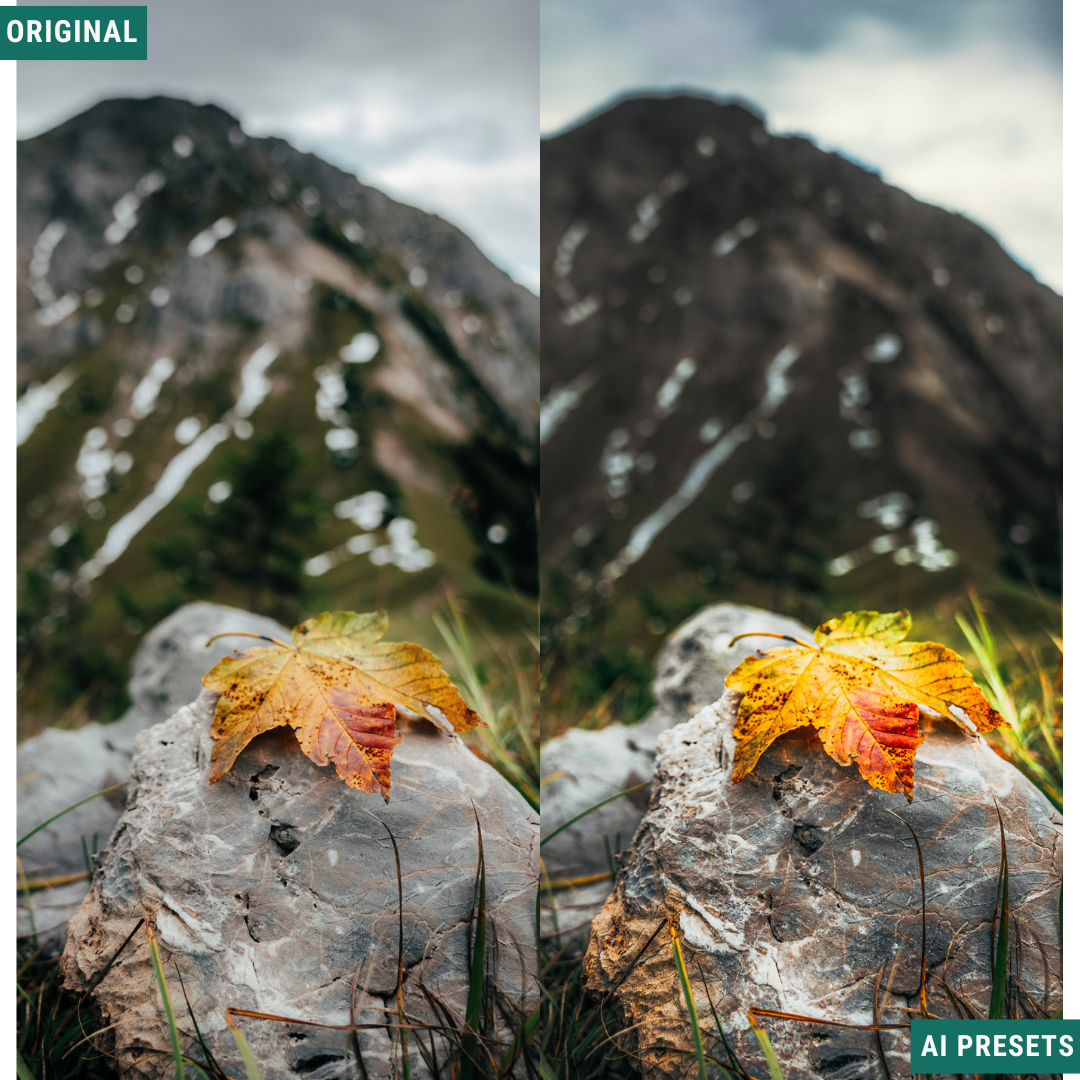Landscape AI Photo Lightroom Toolkit