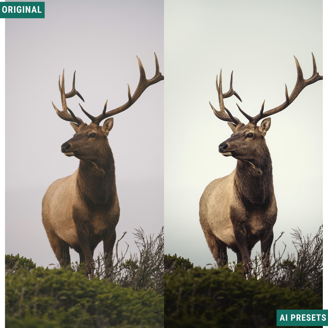 Subjects & Wildlife AI Photo Lightroom Toolkit