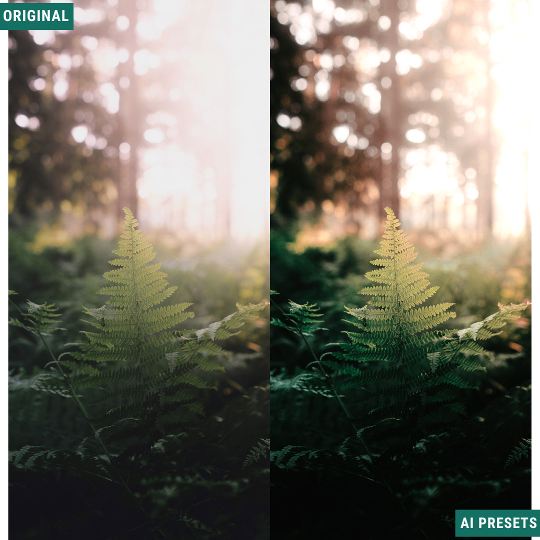 Rustic AI Color Lightroom Toolkit