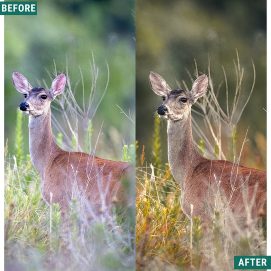 Gold Valley LIMITED Lightroom Presets Pack