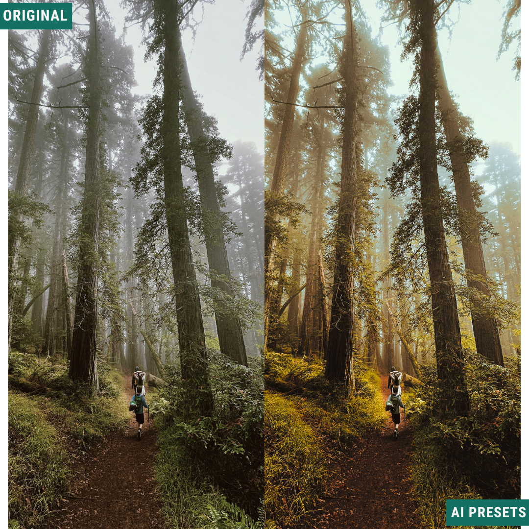 Rustic AI Color Lightroom Toolkit