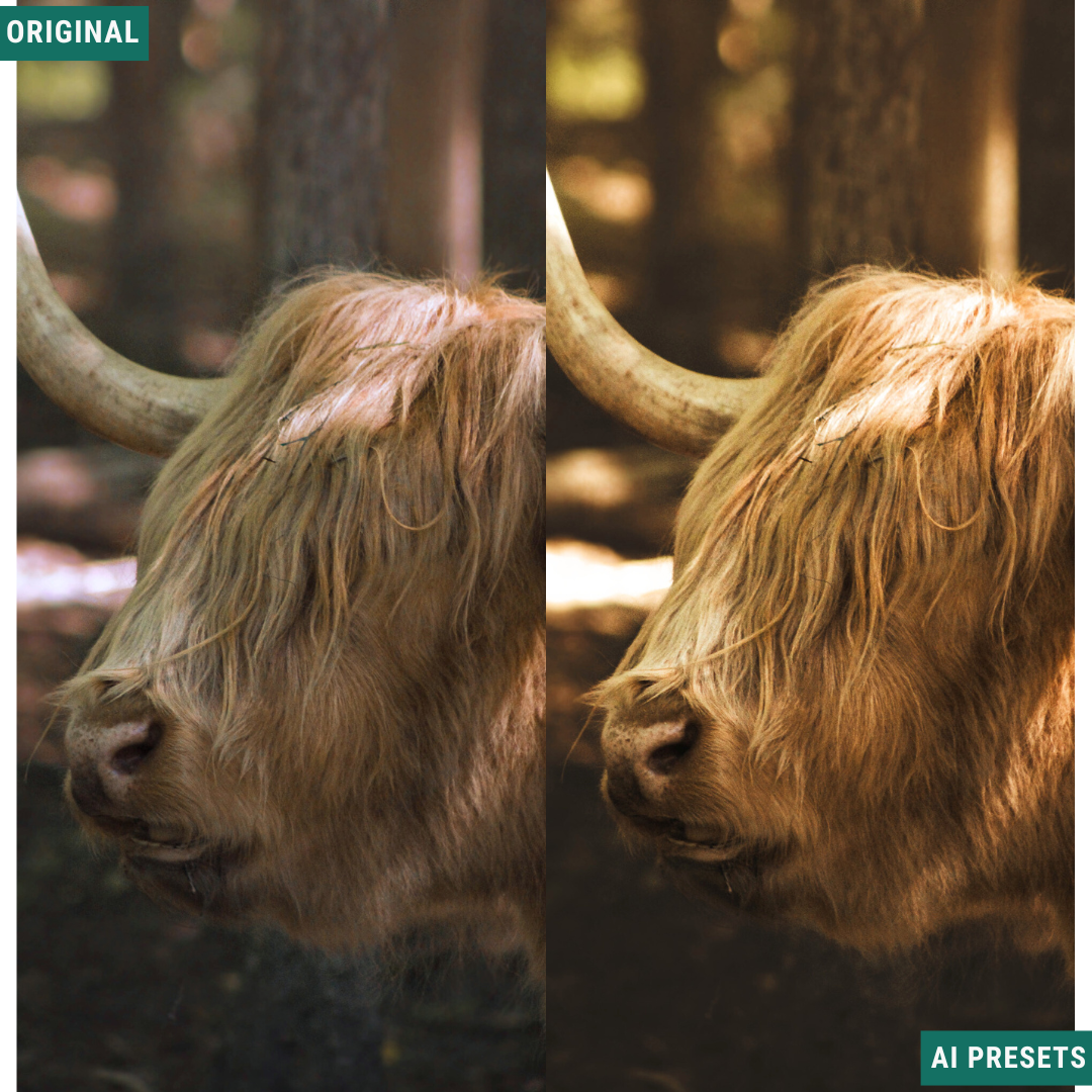 Rustic AI Color Lightroom Toolkit