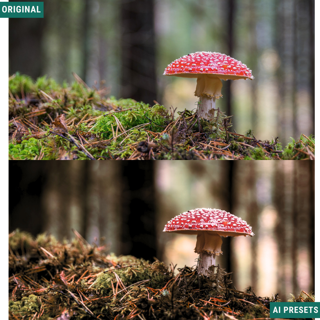 Rustic AI Color Lightroom Toolkit