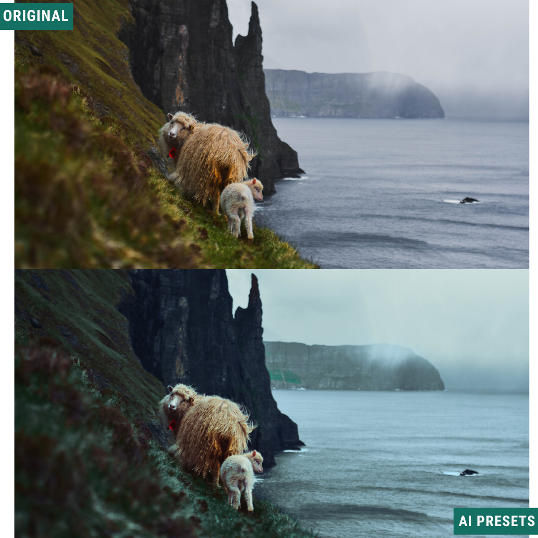 Moody AI Color Lightroom Toolkit