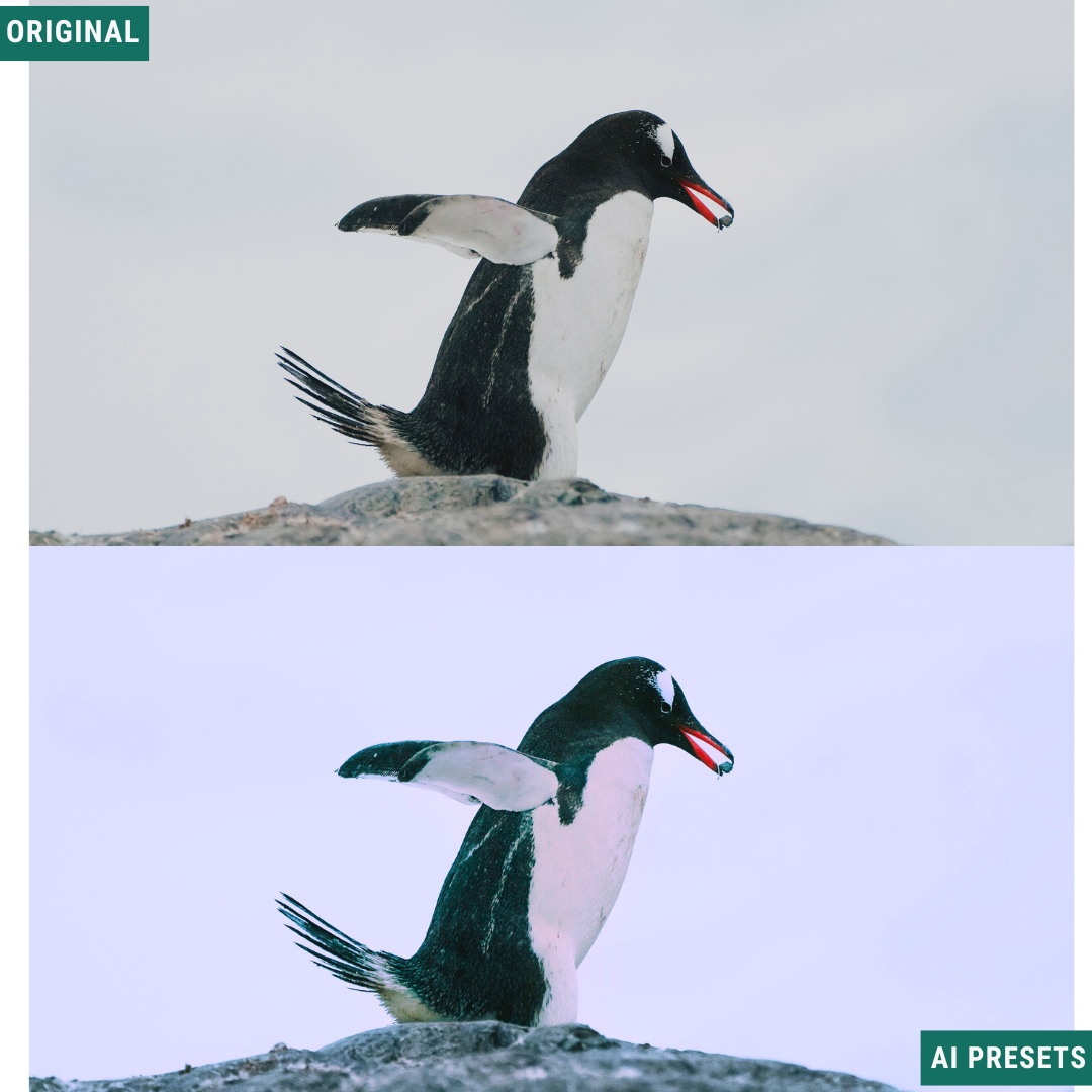 Moody AI Color Lightroom Toolkit