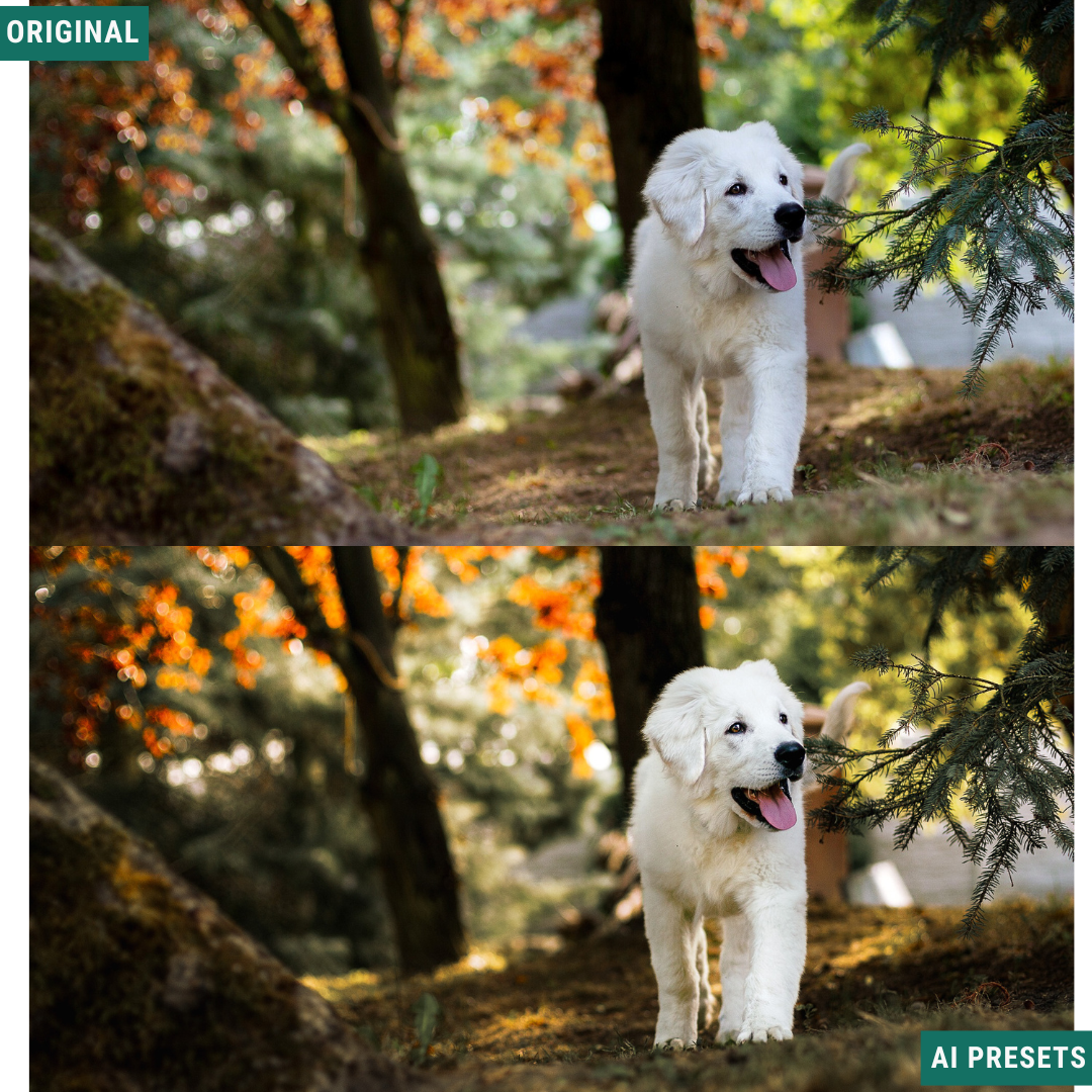 Rustic AI Color Lightroom Toolkit
