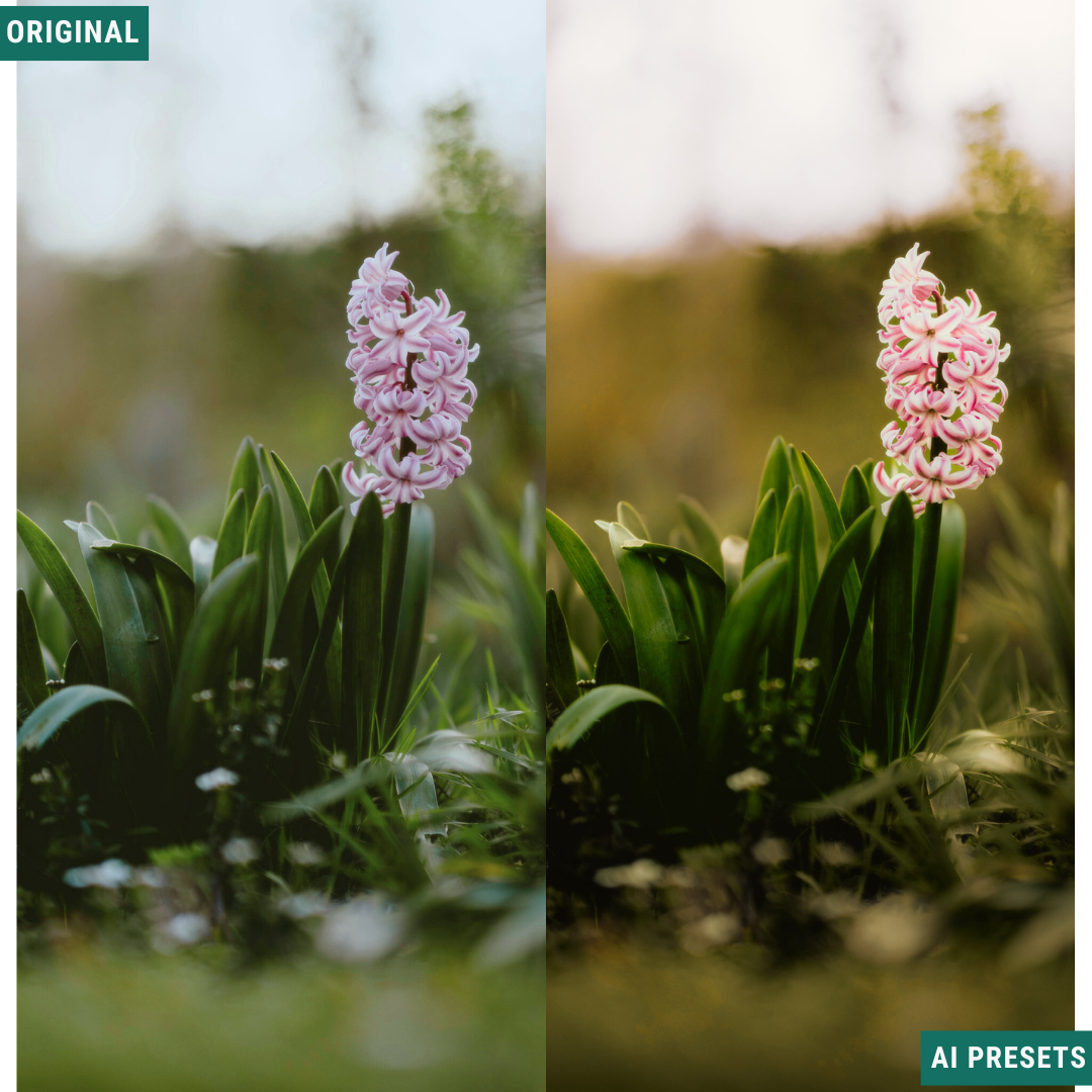 Rustic AI Color Lightroom Toolkit