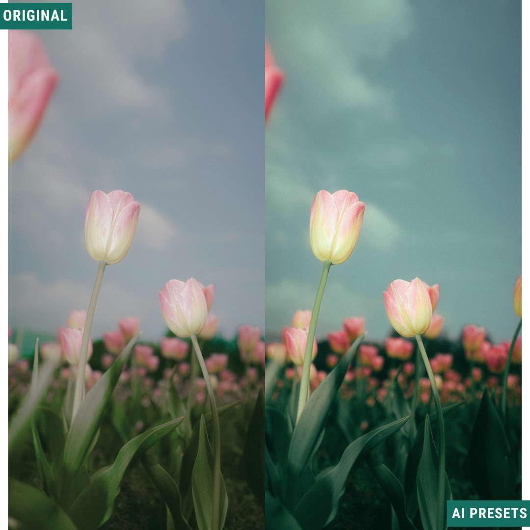 Spring AI Color Lightroom Toolkit