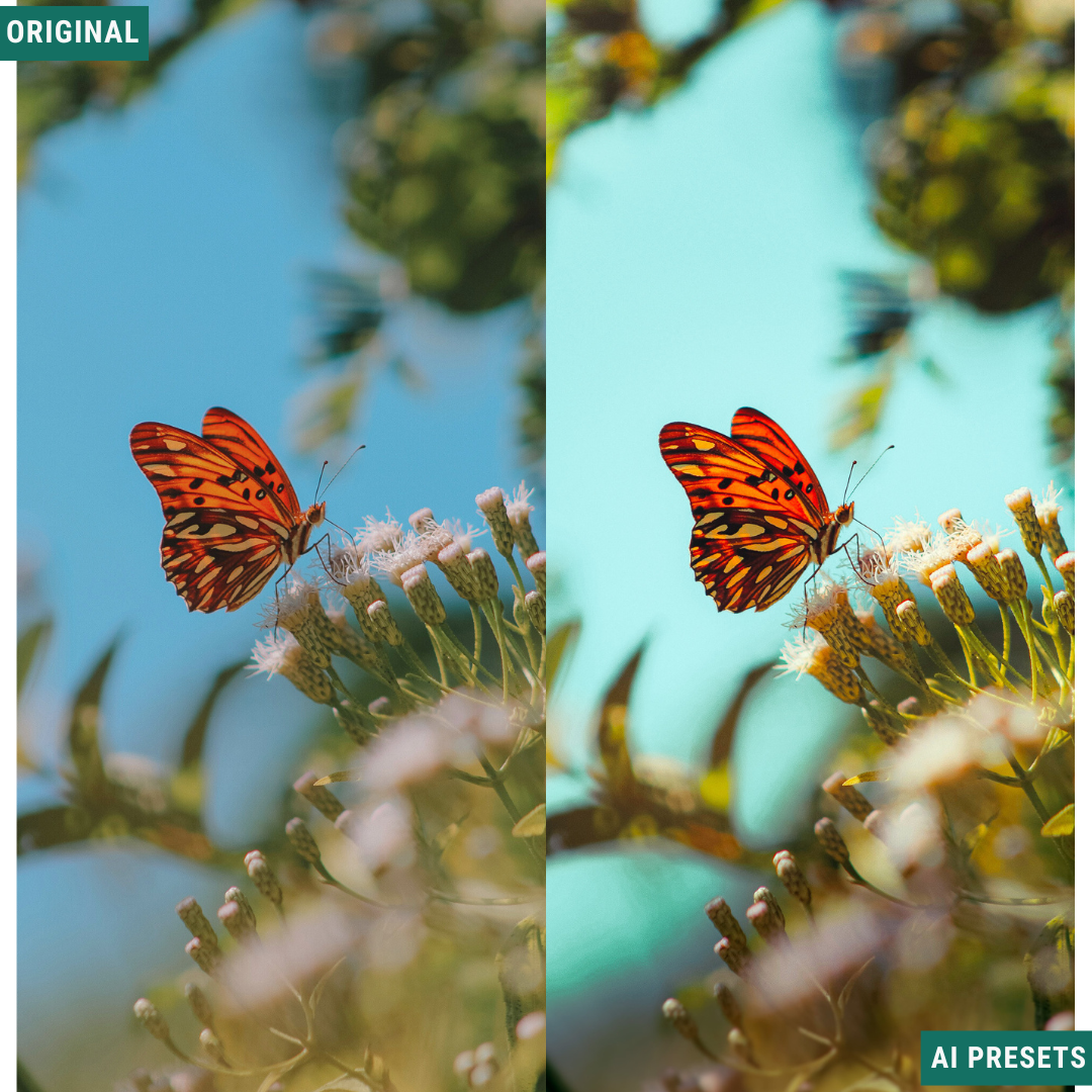 Spring AI Color Lightroom Toolkit