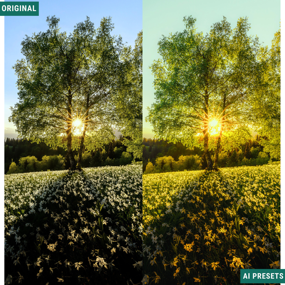 Spring AI Color Lightroom Toolkit