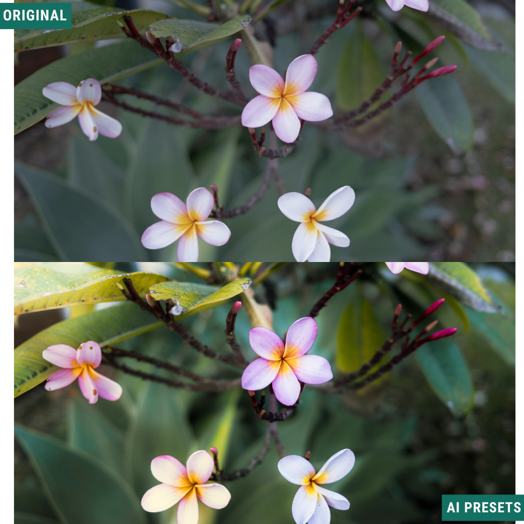 Spring AI Color Lightroom Toolkit