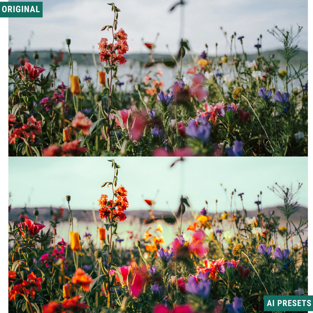 Spring AI Color Lightroom Toolkit