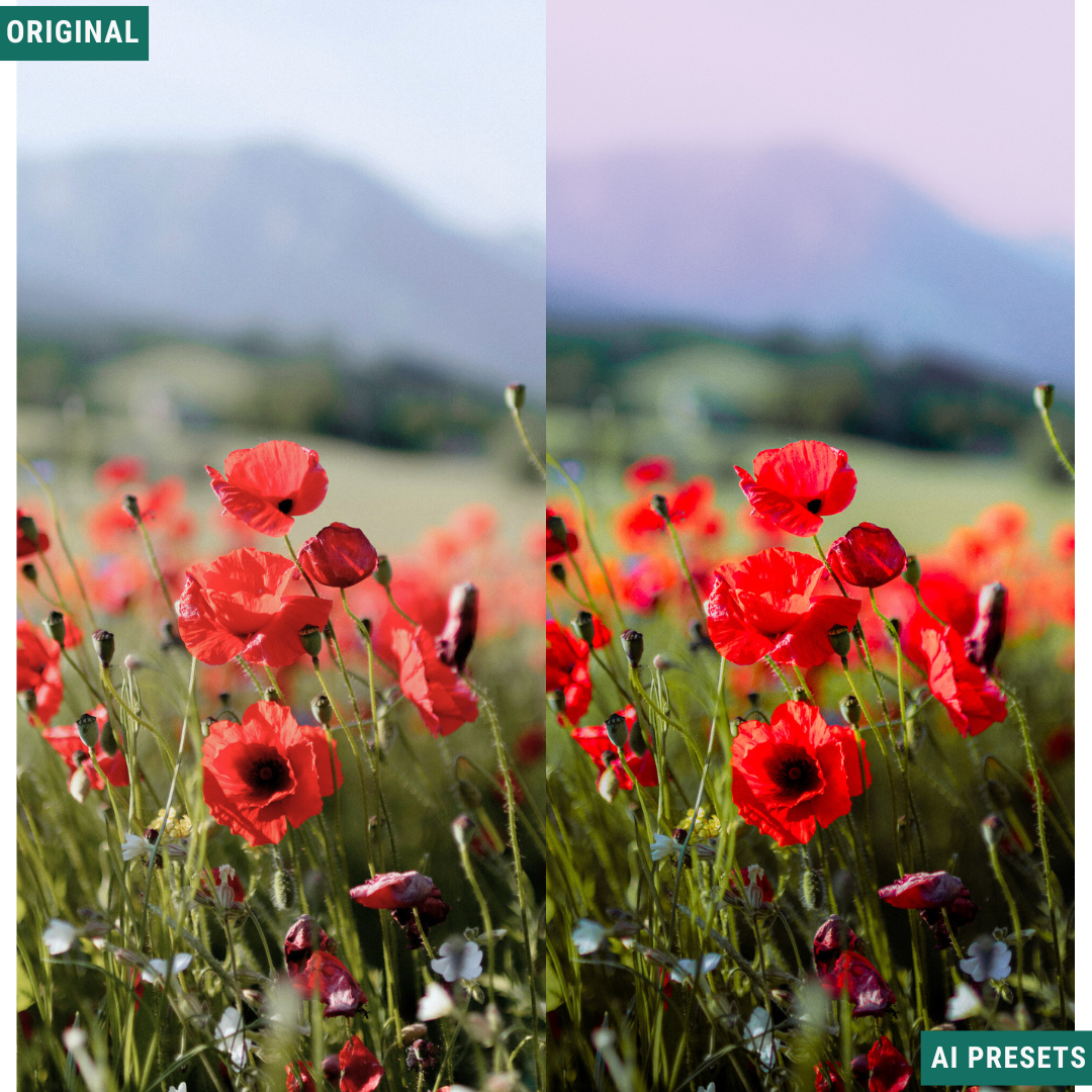 Spring AI Color Lightroom Toolkit