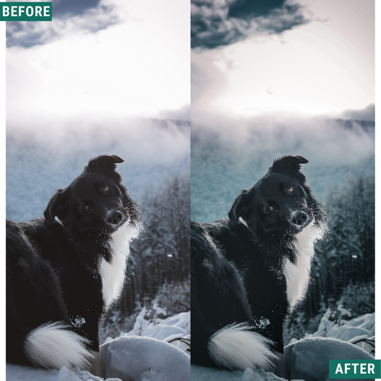 Glacial Blues Capture One & LUT Presets Pack