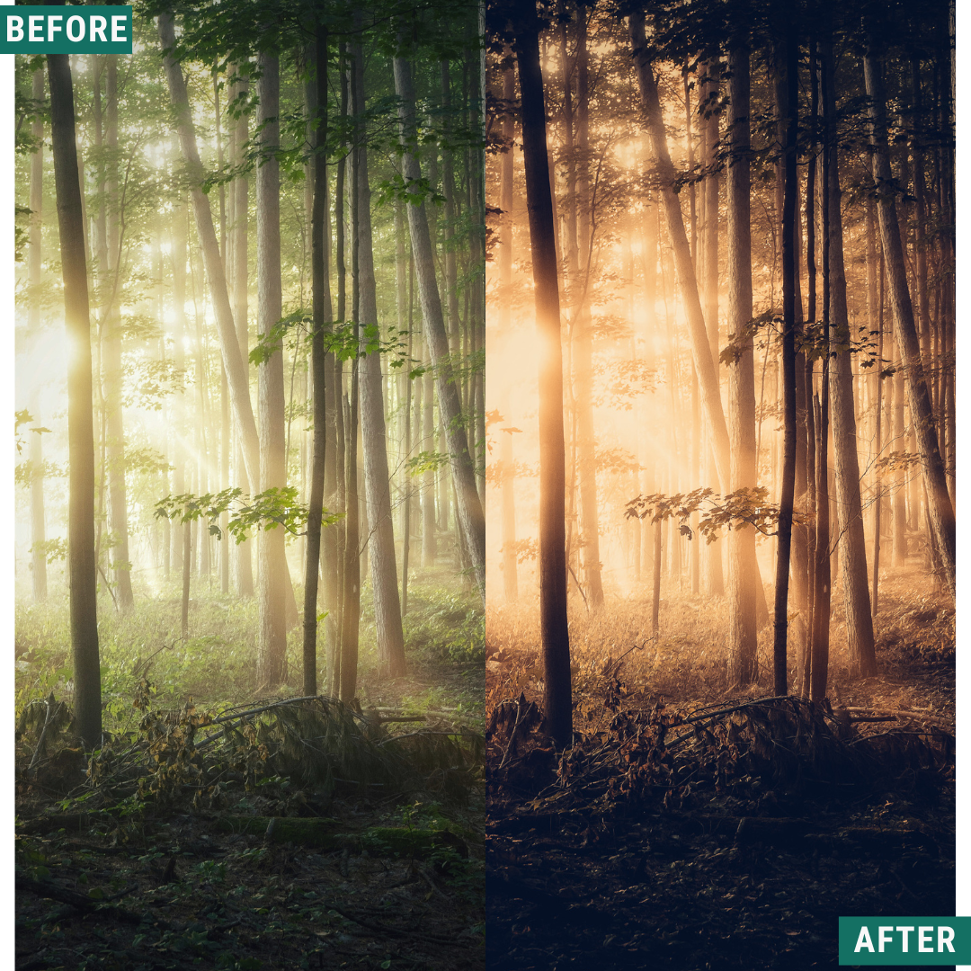 Warm Dusk LIMITED Lightroom Presets Pack