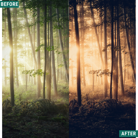Warm Dusk LIMITED Lightroom Presets Pack