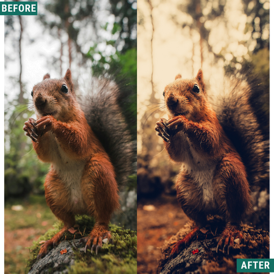 Warm Dusk LIMITED Lightroom Presets Pack