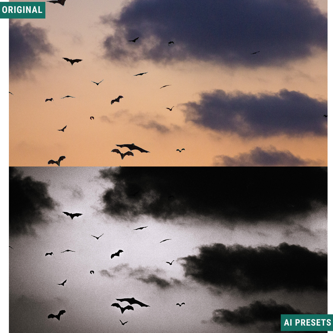Spooky AI Color Lightroom Toolkit