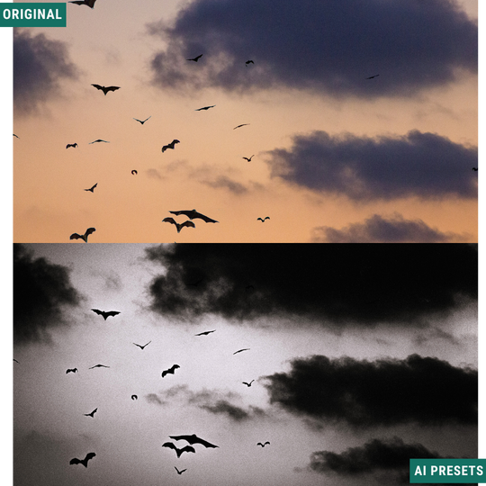 Spooky AI Color Lightroom Toolkit
