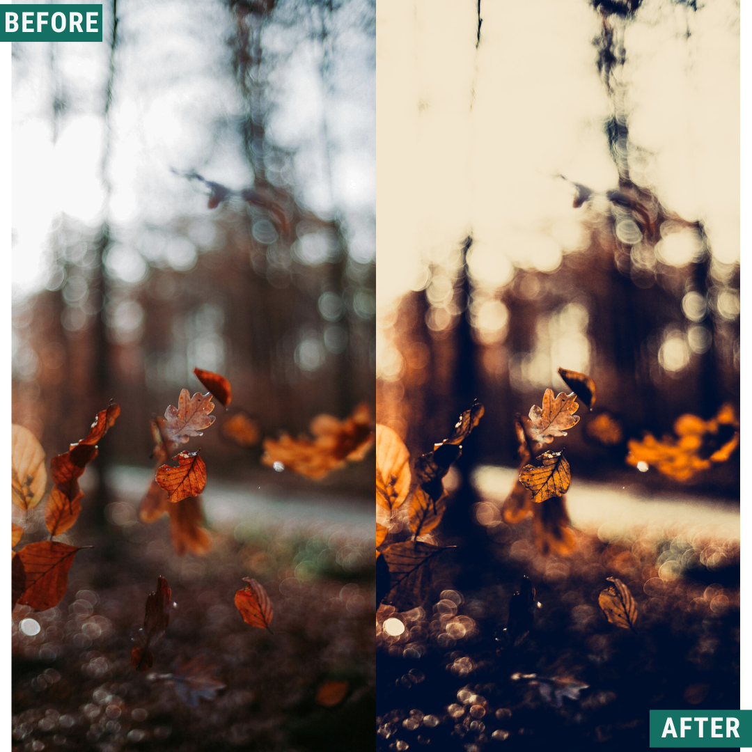 Warm Dusk LIMITED Lightroom Presets Pack