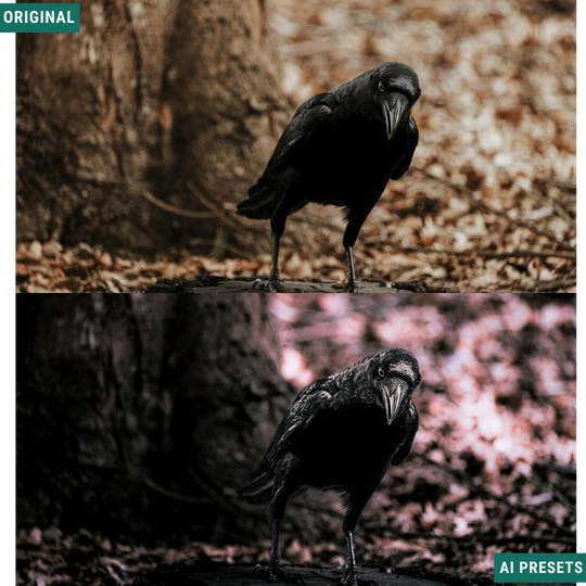 Spooky AI Color Lightroom Toolkit