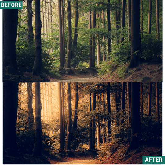 Warm Dusk LIMITED Lightroom Presets Pack