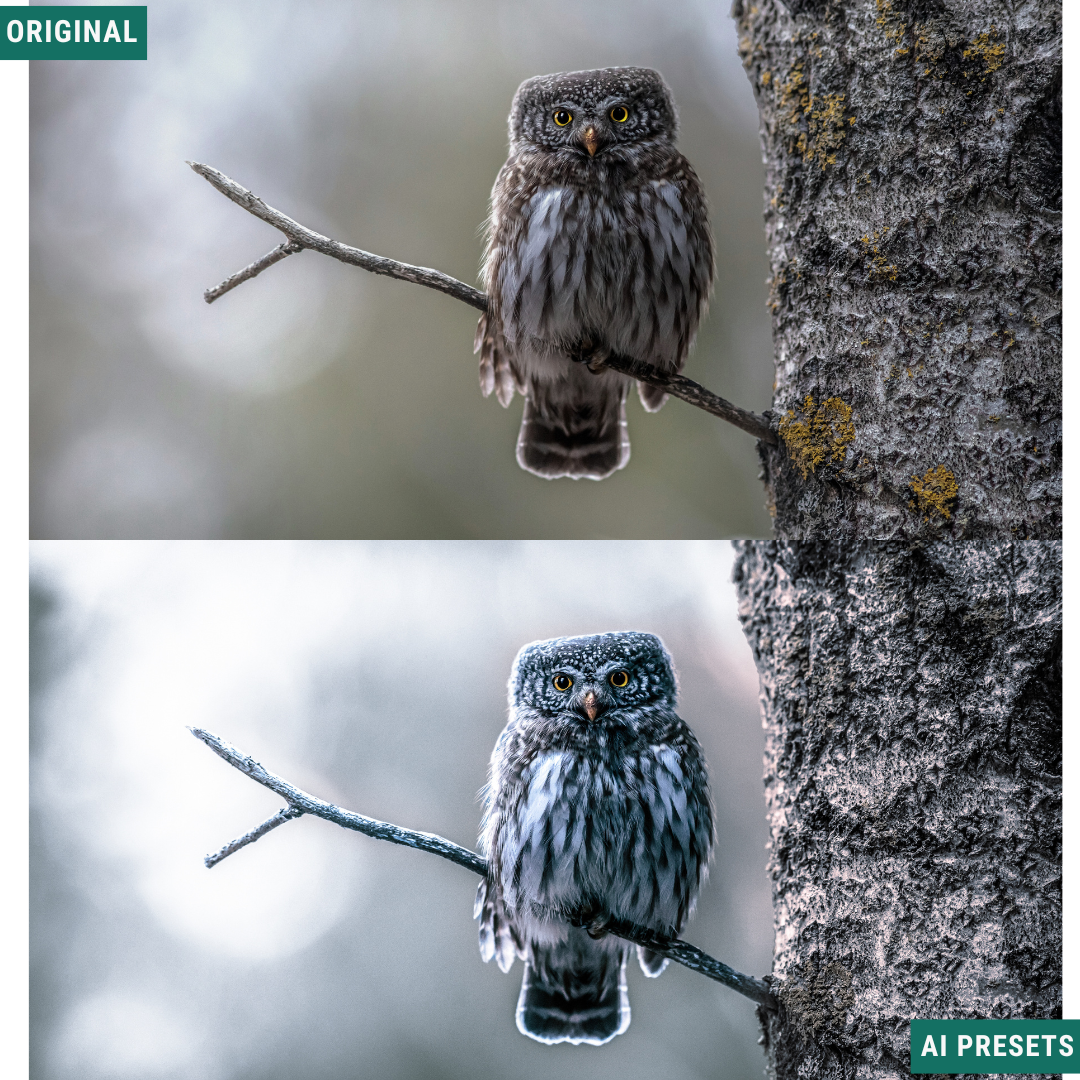 Spooky AI Color Lightroom Toolkit