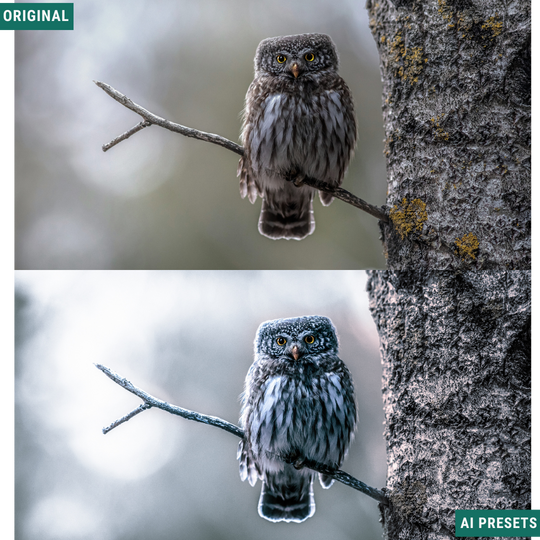 Spooky AI Color Lightroom Toolkit