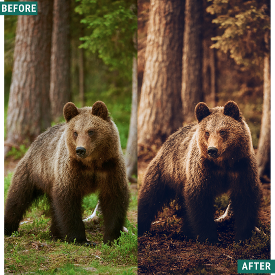 Warm Dusk LIMITED Lightroom Presets Pack